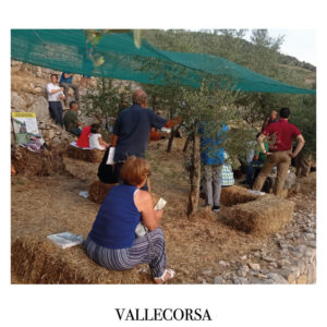 Vallecorsa2.jpg